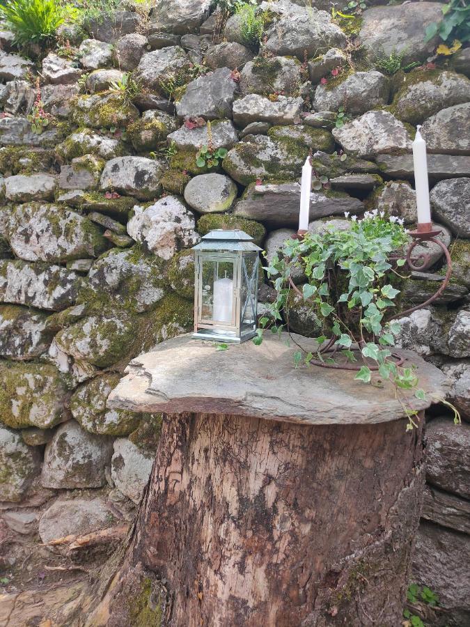 Le Secret Du Moulin, Agreable Tiny House Villefort ヴィルフォール エクステリア 写真